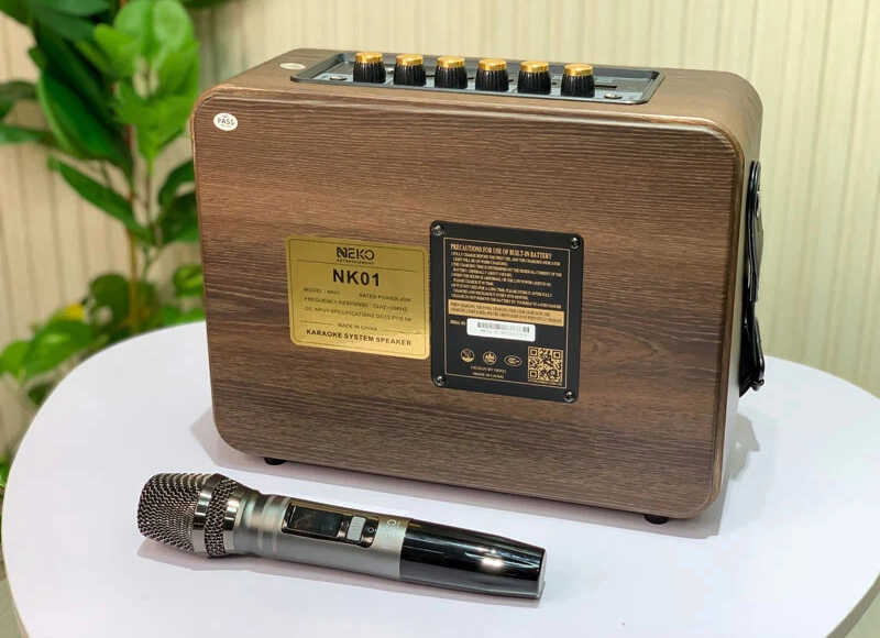 Loa karaoke Bluetooth – Xu hướng tiện lợi cho gia đình